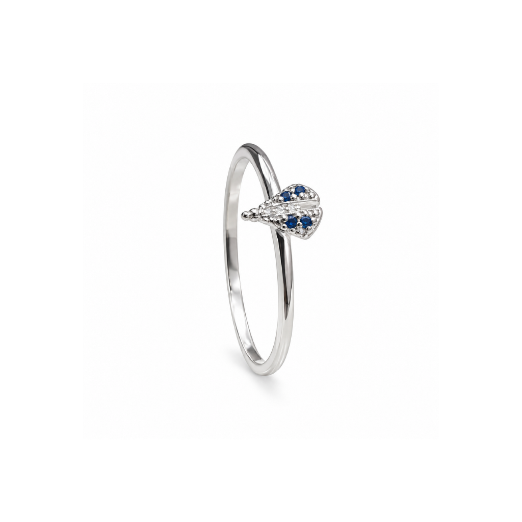 ANEL NOSSA SENHORA 62653