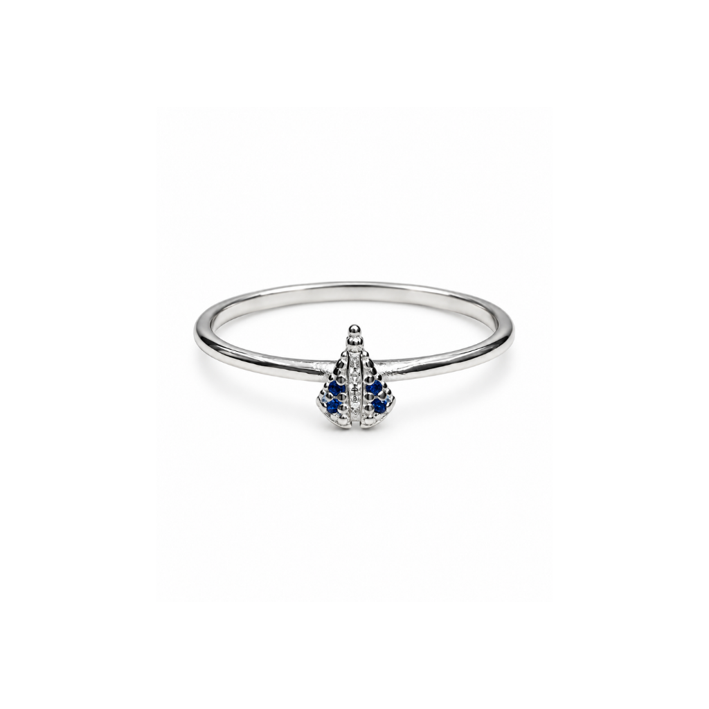 ANEL NOSSA SENHORA 62653